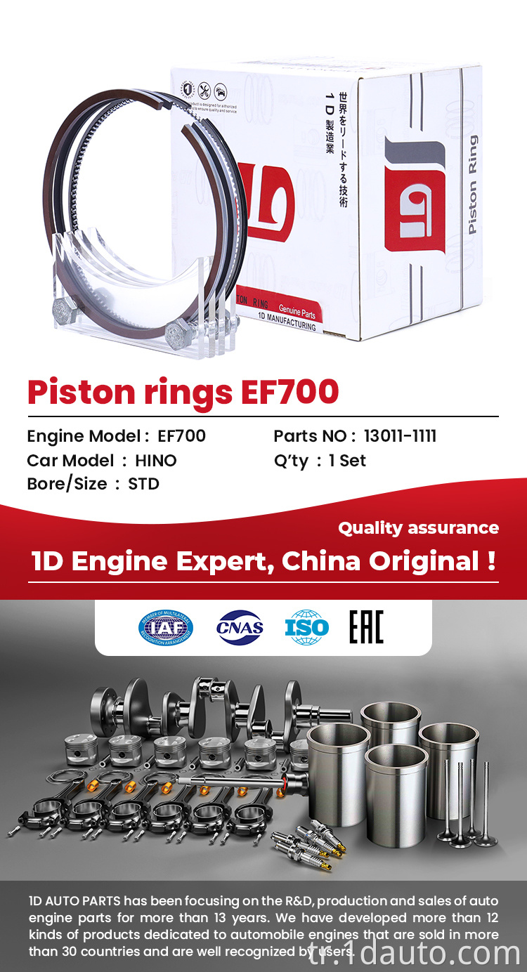 EF700 Piston Ring Set